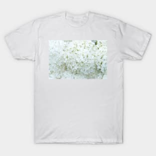 Delicate White Hydrangea Flowers T-Shirt